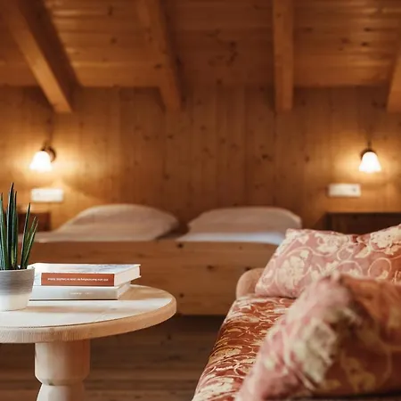 Garni Ciasa Urban Aparthotel